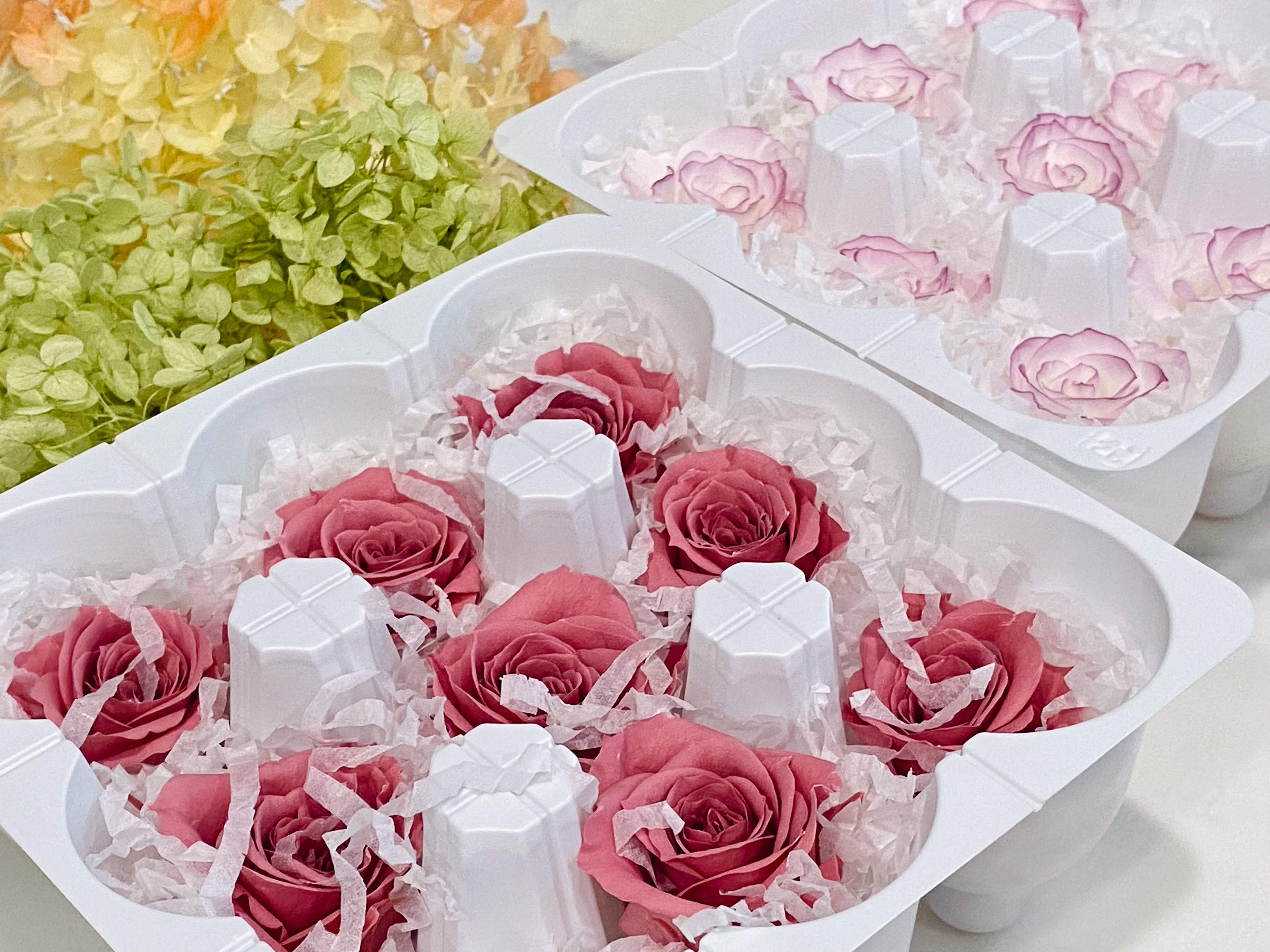 Preserved flower close-up